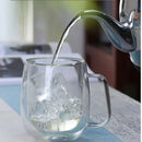 Axyaa Double Wall Glass Coffee Cup with Handle - Clear, Heat Resistant, Various Sizes