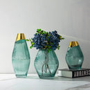 Axyaa Transparent Glass Vase Flower Arrangement Home Decor Accessory