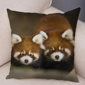 Axyaa Red Panda Print Pillowcase for Cute Wildlife Home Decor
