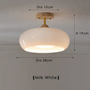 Axyaa Multicolor Retro Chandelier: Creative Living Room Lights