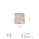 Axyaa Stainless Steel LED Wall Lamp: Modern Indoor Lighting for Living Room, Bedroom, Study, Bar