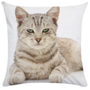Axyaa Cute Cat Pillowcase Bubble Black  Kids Gift Decor Custom
