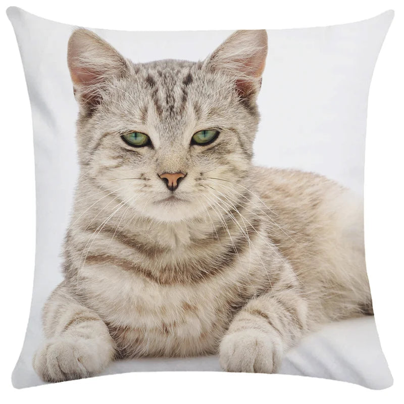 Axyaa Cute Cat Pillowcase Bubble Black  Kids Gift Decor Custom