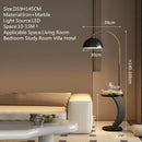 Axyaa Luxury LED Floor Lamp for Living Room Bedroom Study Hotel décor