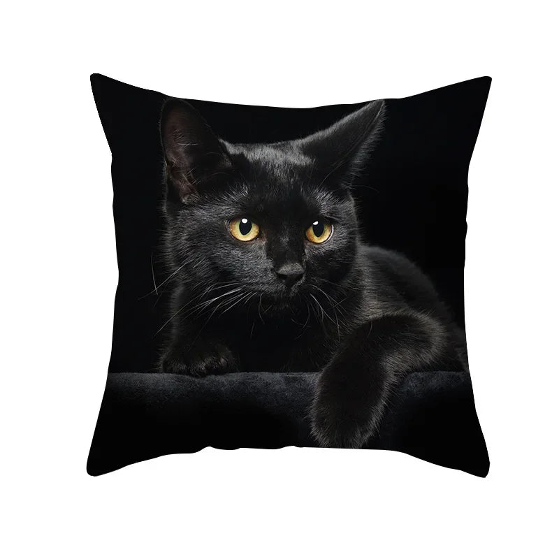 Axyaa Black Cat Pillowcases: Cute Kitty Lover Cushion Cover & Home Decor