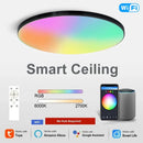 Axyaa Smart RGB Ceiling Light: Voice Control, Dimmable, WiFi, App Control