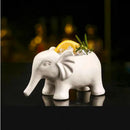 Axyaa Elephant Tiki Cup 560ml