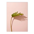 Pink Flower Palm Balloon Canvas Painting Nordic Posters for Modern Living Room Decor by Axyaa