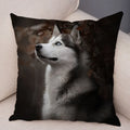 Siberian Husky Pillowcase - Axyaa Animal Cushion Cover, Decor, Cute, Dog Print