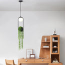 Axyaa Nordic Plant Pendant Lights for Home Dining Room Decor