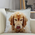 Axyaa Golden Retriever Dog Sofa Pillowcase for home decor