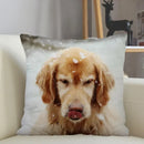 Axyaa Golden Retriever Dog Sofa Pillowcase for home decor