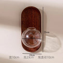Axyaa Glass Wall Vase for Flowers and Plants