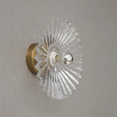 Axyaa Glass Lampshade Wall Lights: Home Decor Lighting for Living Room, Bedroom, Indoor