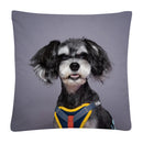 Axyaa Cute Dog Photo Polyester Cushion Cover for Home Sofa Car