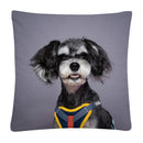 Axyaa Dog Photo Pattern Cushion Cover for Home Sofa Car Decoration