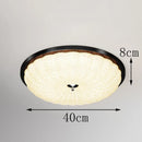 Axyaa Nordic Smart LED Dimmable Ceiling Light for Home Decoration