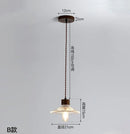 Axyaa Nordic Glass Pendant Chandelier LED Lighting for Home Decor