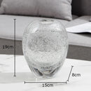 Axyaa Bubble Glass Vase Hydroponic Flower Pots Modern Home Decor