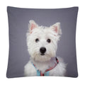 Axyaa Cute Dog Photo Polyester Cushion Cover for Home Sofa Car