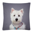 Axyaa Cute Dog Photo Polyester Cushion Cover for Home Sofa Car