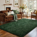 Axyaa Plush Green Area Rug for Modern Home Decor & Cozy Living Spaces