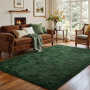 Axyaa Plush Green Area Rug for Modern Home Decor & Cozy Living Spaces