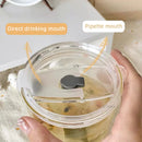 Axyaa 600ML Stripe Glass Cup with Lid and Straw - Cold Drinkware
