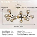 Axyaa Glass Magic Bean Chandelier LED Pendant Lights