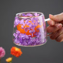 Axyaa Double Layer Glass Coffee Cup with Handle - High Temp Milk Mug