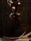 Axyaa Glass Design Chandelier Ceiling Light in Black White Pink