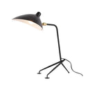 Axyaa Modern Minimalist LED Floor Lamp with Black Lampshade