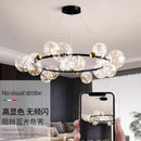 Axyaa Nordic Ring Star Chandelier Glass Ball Pendant Light
