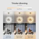 Axyaa Modern Dandelion LED Chandelier for Home Decoration