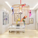 Axyaa Nordic Birdcage Chandelier Pendant Lamp for Creative Clothing Store & Restaurant Tables