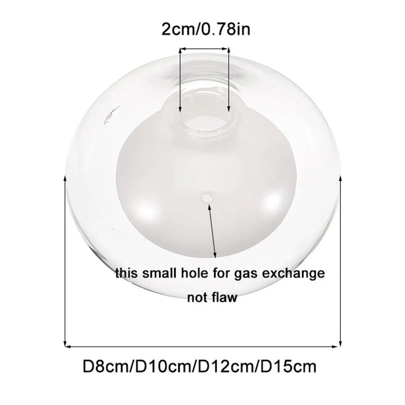 Axyaa Clear White Glass G9 Globe Shade Replacement in Various Sizes