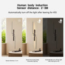 Axyaa Black Gold LED Wall Lamp Up&Down Sconce Lighting