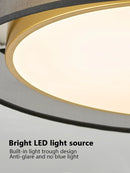 Axyaa Modern Minimalist LED Ceiling Light for Bedroom, Living Room, and Study