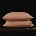 Axyaa Goose Feather Down Pillows - 2 Pack, 100% Cotton, Standard Queen King Sizes