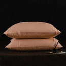 Axyaa Goose Feather Down Pillows - 2 Pack, 100% Cotton, Standard Queen King Sizes