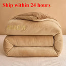 Axyaa Winter Quilt - Double-Sided Milk Fleece Embroidered Thickened Fleece Warm Quilt