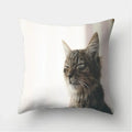 Cute Cat Print Cushion Cover for Sofa Decor by Axyaa