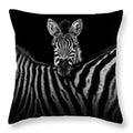 Axyaa Zebra Print Polyester Cushion Cover 45X45cm for Home Decor