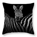 Axyaa Zebra Print Polyester Cushion Cover 45X45cm for Home Decor
