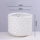 Axyaa Gold Ceramic Succulent Flowerpot Vase Balcony Decor Plant Pots