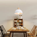 Axyaa Nordic Wood Iron LED Pendant Light - Modern Hanging Lamp for Home Decor