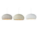 Axyaa Nordic Wind LED Pendant Lights for Home Decor and Dining Room