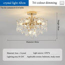 Axyaa Crystal Ceiling Lamp: Modern Main Lighting for Living & Dining Room
