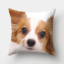 Dog Pattern Cushion Cover for Home Decor by Axyaa