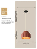 Axyaa Nordic Ceiling Lamp for Home Decor & Lighting in Living Room, Bedroom, Hallway